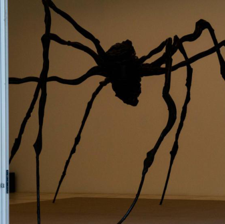 Museu Oscar Niemeyer recebe Spider
